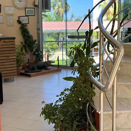 Szálloda Yazici Adrasan